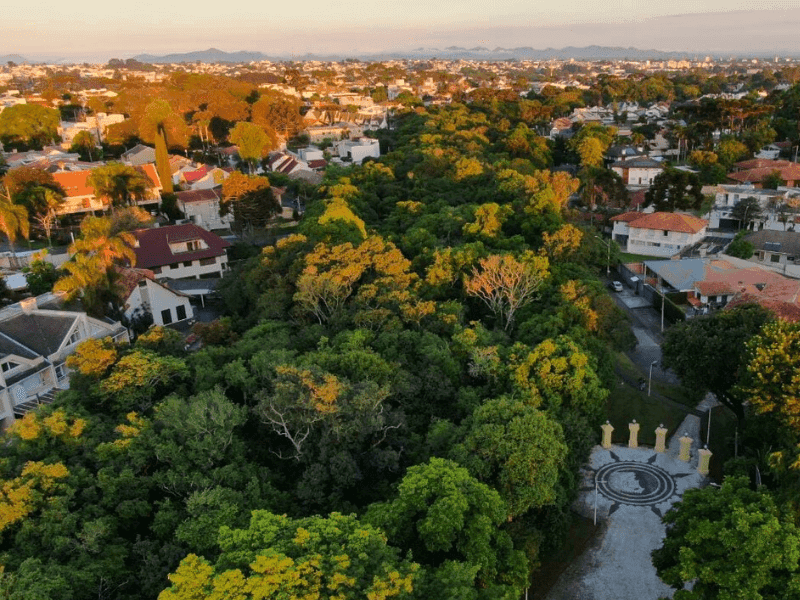 Descubra as Melhores Acompanhantes no Bairro Jardim Social de Curitiba Descubra as Melhores Acompanhantes no Bairro Jardim Social de Curitiba