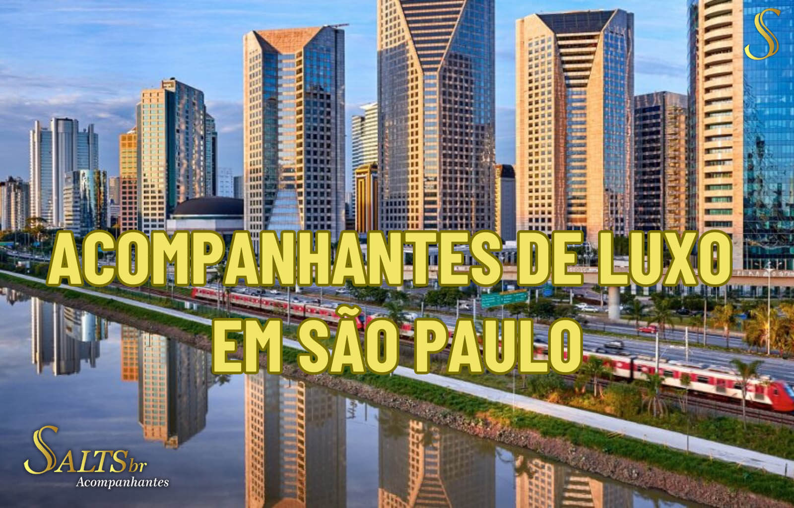 Acompanhantes São Paulo e Garotas de Programa SP - SALTSbr