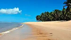 acompanhantes em maceió saltsbr