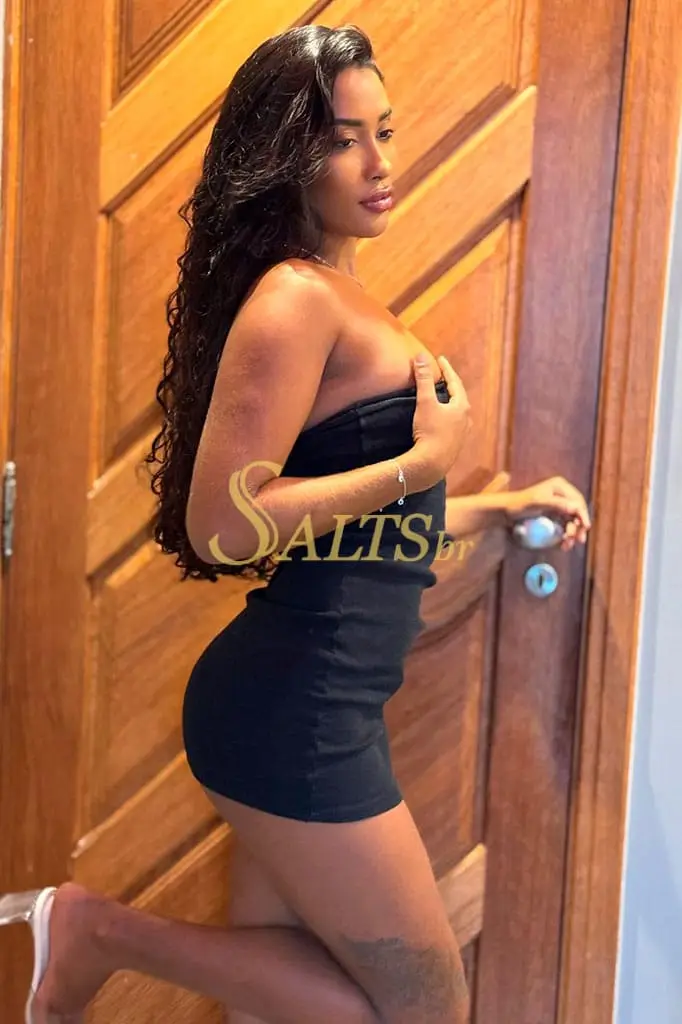 acompanhantes rio de janeiro - marina reis